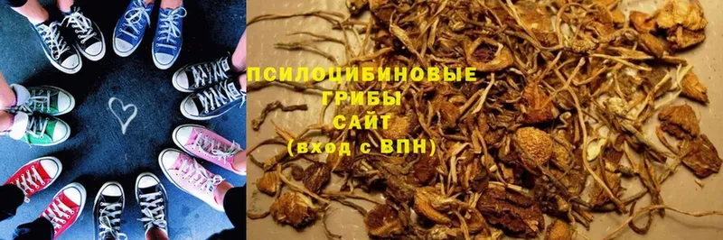 Псилоцибиновые грибы GOLDEN TEACHER  mega зеркало  Ливны 